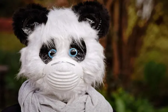 Vegadream Kaszinó Támogatás